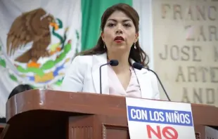 Congresswoman América Rangel of Mexico City. Credit: Official América Rangel website