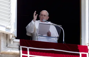 Pope Francis speaks to the crowd on June 12, 2022 gathered in St. Peter's Square in Rome for the recitation of the Angelus on Trinity Sunday. Vatican Media