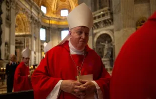 Mitchell Rozanski, then-Bishop of Springfield in Massachusetts and current Archbishop of St. Louis, in St. Peter's Basilica, Nov. 7, 2019. Daniel Ibanez/CNA
