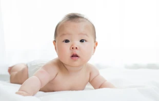 null Credit: ucchie79/Shutterstock