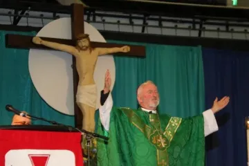 Auxiliary Bishop David O'Connell