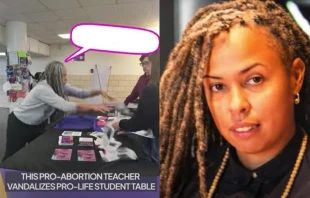 Shellyne Rodriguez vandalized a pro-life display on May 2 that was sponsored by Students for Life of America. YouTube/Students For Life May 18, 2023, YouTube/Whitney Museum of American Art Feb 28, 2018