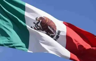 Flag of Mexico. Credit: David Ramos/ACI Prensa
