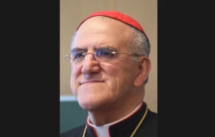 Cardinal Javier Lozano Barragán Public domain.