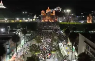 Aerial view of the surroundings of the Basilica of Guadalupe during the early morning of Dec. 12, 2022. Credit: Video / Twitter capture by @Claudiashein