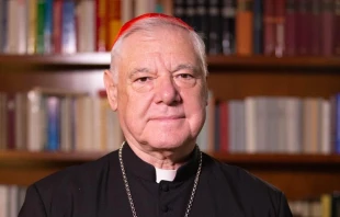 “[Kirk] gave his life in following his Lord, as a sacrifice for the truth that man is made in God’s image, male and female, and in opposition to the lies and self-mutilation promoted by so-called ‘trans ideology’" said Cardinal Gerhard Ludwig Müller Alan Koppschall/EWTN