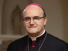His Excellency José Ignacio Munilla is bishop of the Orihuela-Alicante Diocese in Spain.