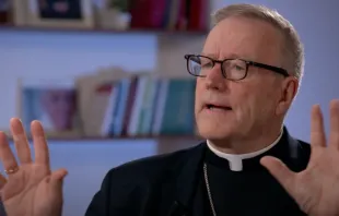 In addition to the spiritual maladies of the times, Bishop Robert Barron says he also sees opportunities for both evangelization and renewal in the Church. Credit: Screenshot/EWTN News in Depth