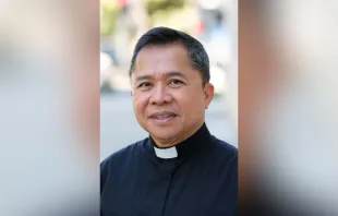 Pope Francis on April 20, 2024, named Father Reynaldo Bersabal as an auxiliary bishop of the Diocese of Sacramento, California.  Credit: Steve German/Diocese of Sacramento