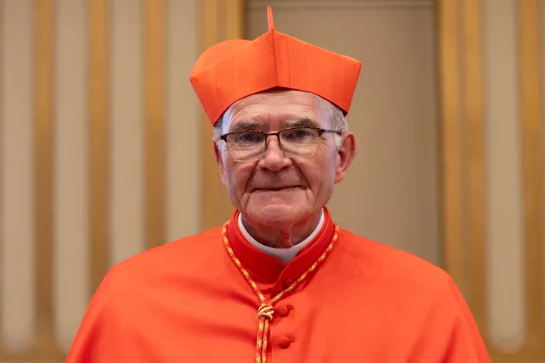 Cardinal Stephen Brislin, archbishop of Cape Town, South Africa. Credit: Daniel Ibáñez