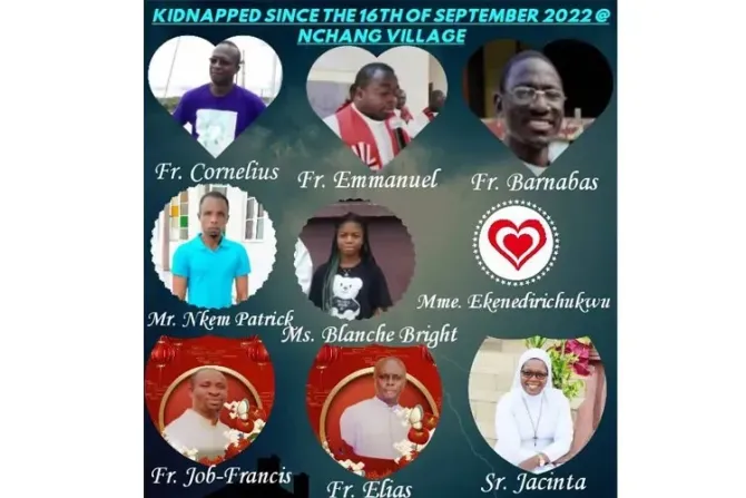 cameroon abductees