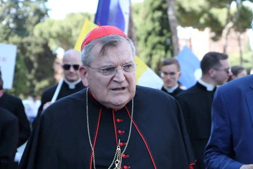 Cardinal Raymond Leo Burke at the March for Life in Rome, Italy, May 10, 2015.?w=200&h=150