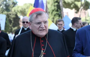 Cardinal Raymond Leo Burke at the March for Life in Rome, Italy, May 10, 2015. Martha Calderon/CNA