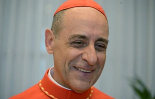 Argentinian prelate Víctor Manuel Fernández. Credit: Tiziana Fabi/AFP via Getty Images