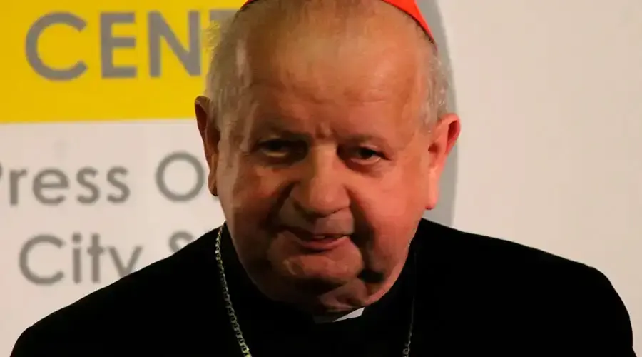 Cardinal Stanislaw Dziwisz.?w=200&h=150