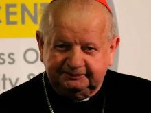 Cardinal Stanislaw Dziwisz.