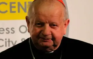 Cardinal Stanislaw Dziwisz. Credit: Kyle Burkhart/ACI Prensa