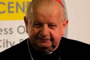 Cardinal Stanislaw Dziwisz