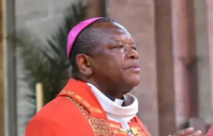 Cardinal Fridolin Ambongo, president of the Symposium of Episcopal Conferences of Africa and Madagascar. Credit: François-Régis Salefran CC BY-SA 4.0 DEED