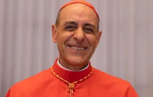 Cardinal Víctor Manuel Fernández. Credit: Daniel Ibáñez/ACI Prensa