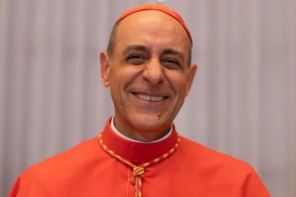 Cardinal Víctor Manuel Fernández. Credit: Daniel Ibáñez/ACI Prensa