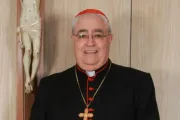 Cardinal José Luis Lacunza Maestrojuán