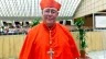 Cardinal Jean-Claude Hollerich, the relator general of the 16th Annual General Assembly of the Synod of Bishops.