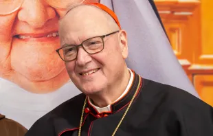 Cardinal Timothy Dolan of New York. Credit: Jonah McKeown/CNA