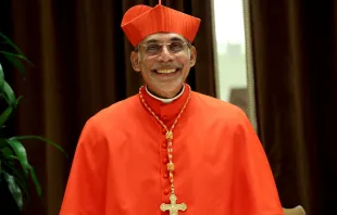 Cardinal Filipe Neri Ferrão on Aug. 27, 2022, in Vatican City. Credit: Franco Origlia/Getty Images