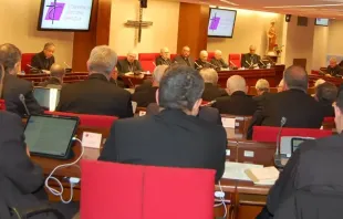Plenary of the Spanish Episcopal Conference. Credit: CEE