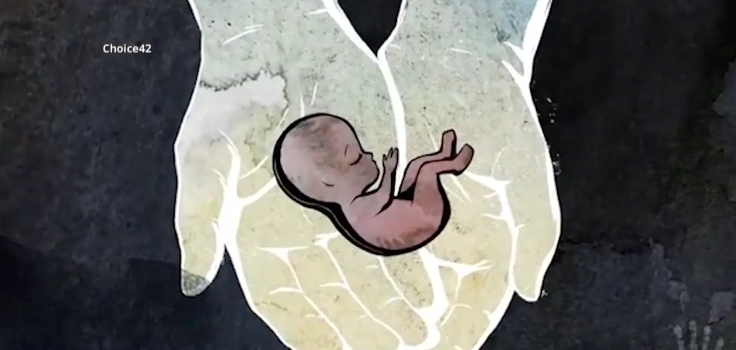 An image from the Canadian pro-life group Choice42's animated video encouraging pregnant women to choose life.?w=200&h=150