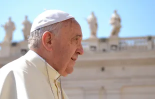 Pope Francis greets pilgrims in St. Peter’s Square on June 4, 2014. Daniel Ibáñez/CNA.