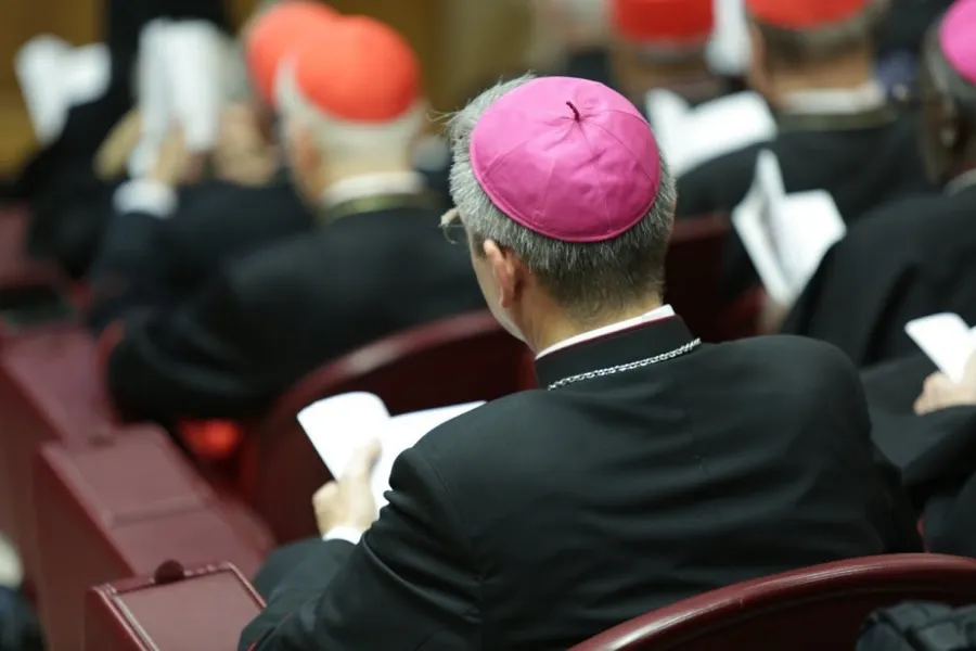 Cardinals and bishops in the Vatican’s Synod Hall, Oct. 14, 2015.?w=200&h=150
