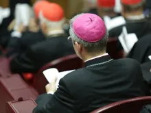 Cardinals and bishops in the Vatican’s Synod Hall, Oct. 14, 2015.