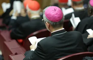 Cardinals and bishops in the Vatican’s Synod Hall, Oct. 14, 2015. Daniel Ibáñez/CNA.