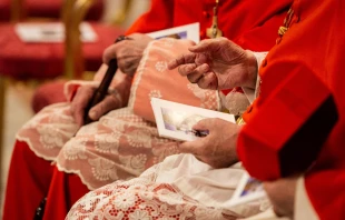 A consistory for the creation of new cardinals in St. Peter’s Basilica on Oct. 5, 2019. Daniel Ibáñez/CNA.