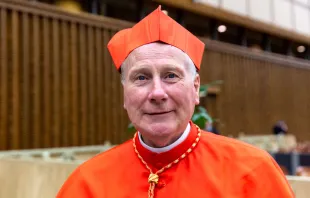 Cardinal Michael Fitzgerald, pictured after receiving the red hat at the Vatican on Oct. 5, 2019. Daniel Ibáñez/CNA.