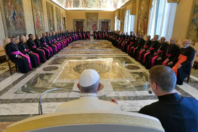 Pope Francis addresses bishops of the Syro-Malabar Catholic Church at the Vatican on Oct. 3, 2019.