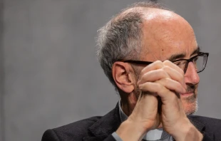 Cardinal Michael Czerny at the Vatican press office on Feb. 12, 2020. Daniel Ibáñez/CNA.