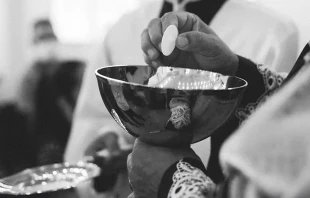 null Photo by Thays Orrico / Unsplash