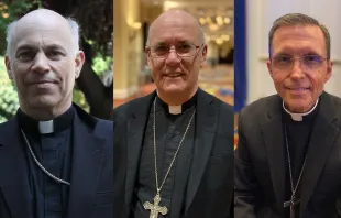 Left to right: Archbishop Salvatore Cordileone of San Francisco, Bishop Kevin C. Rhoades of Fort Worth-South Bend, Indiana, and Auxiliary Bishop Robert P. Reed of the Archdiocese of Boston. CNA