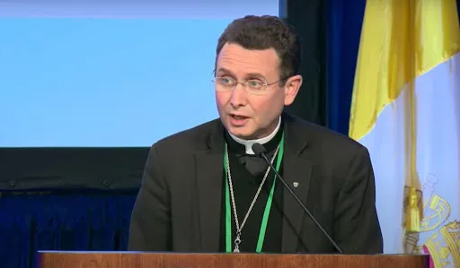 Bishop-designate Andrew H. Cozzens of Crookston, Minn., speaks to the general assembly of the United States Conference of Catholic Bishops on Nov. 17, 2021, in Baltimore.?w=200&h=150