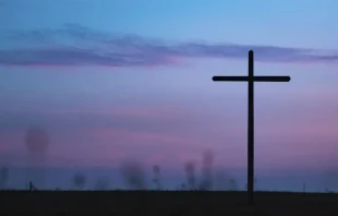 null Photo credit: Unsplash