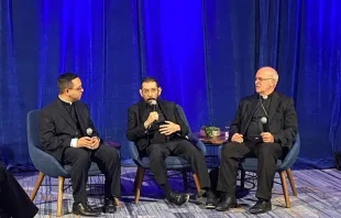 Father Iván Montelongo, a priest from the Diocese of El Paso, Texas; Bishop Daniel Flores of the Diocese of Brownsville, Texas; and Bishop Kevin Rhoades of the Diocese of Fort Wayne/South Bend, Indiana, discuss the Synod on Synodality at the U.S. Conference of Catholic Bishops' fall meeting in Baltimore on Nov. 14, 2023. Credit: Joe Bukuras/CNA