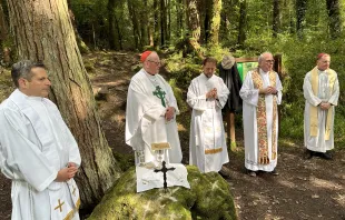 Irish-American Cardinal Timothy Dolan of New York celebrated Mass at a “Mass rock” in Killarney, County Kerry, Ireland, during a pilgrimage with roughly 40 people from the Archdiocese of New York on Aug. 21, 2023. Pictured left to right: Father Enrique Salvo, Cardinal Dolan, Father Stephen Ries, Monsignor Dennis Keane, Bishop Edmund Whalen, all from the New York Archdiocese. Credit: Archdiocese of New York