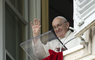 Pope Francis gives the weekly Angelus address on Aug. 27, 2023. Vatican Media