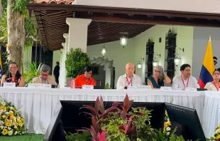 Dialogue table between the ELN and the government of Colombia. Credit: Official transmission