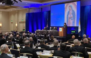 Archbishop Elpidophoros addresses the United States Conference of Catholic Bishops at their fall assembly in Baltimore on Nov. 16, 2021. Screenshot of USCCB video image.