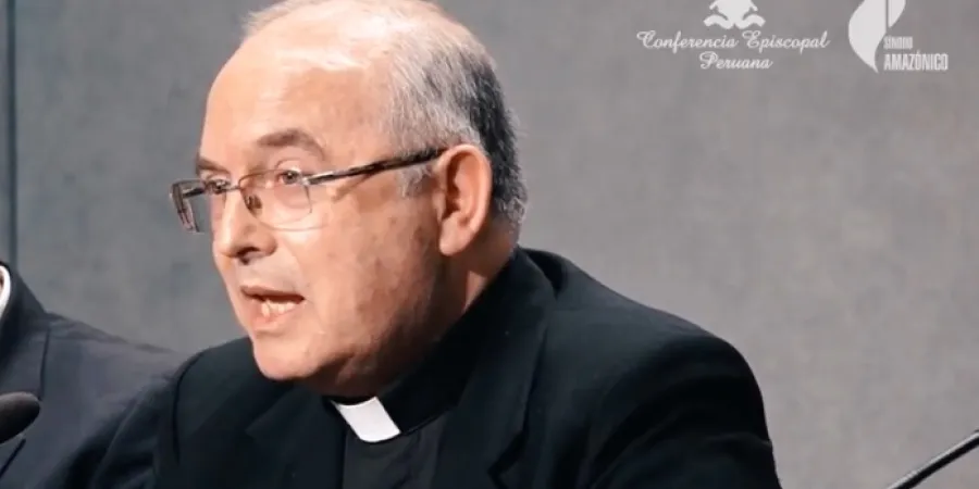 Peruvian Bishop Escudero delivers comprehensive critique of blessing ...