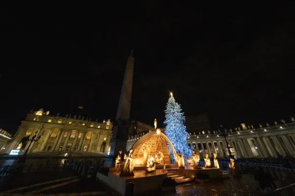 The lights on the Vatican's nearly 100-foot Christmas tree were lit on Dec. 3, 2022. Daniel Ibanez/CNA